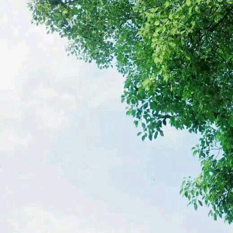 奥田瑛二（饰 山县有朋） - 辣舞影视网址在线观看21 - 在线播放